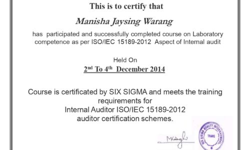 INTERNAL AUDITORS